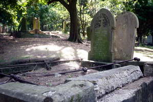 Graves and headstones in the Grafton cemetery. Photo / Sarah Ivey