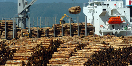 Log prices, along with aluminium, pulp and kiwifruit fell 1pc last month. Dairy mitigated the fall, up almost 1 per cent. It's the sixth straight month of commodity price falls. Photo / NZPA