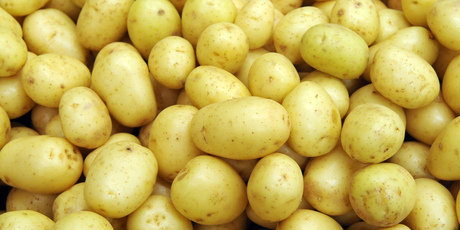 New Zealand has not been able to to send fresh potatoes to Australia since 1988. Photo / Ross Setford.