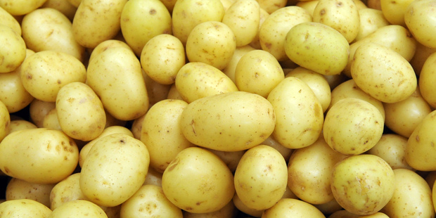 New Zealand has not been able to to send fresh potatoes to Australia since 1988. Photo / Ross Setford.