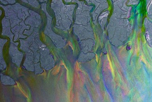 Album cover for An Awesome Wave. Photo / Supplied
