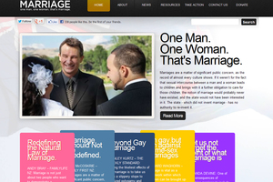 The Protectmarriage.org.nz site. Photo / Herald Online