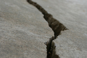Photo / Thinkstock