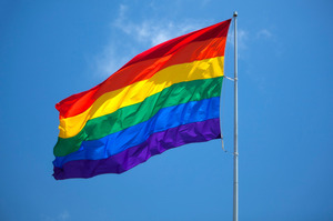 MPs from the Labour Party's South Auckland strongholds are divided over a bill which would legalise same-sex marriage. Photo / Thinkstock