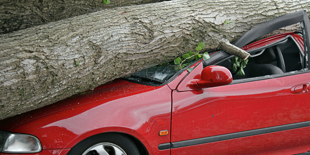 What makes a vehicle safe? And can safety measures prepare for any eventuality? Photo / Thinkstock