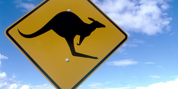 An Australian bank survey has found investments in New Zealand are poised to increase over the next six months.