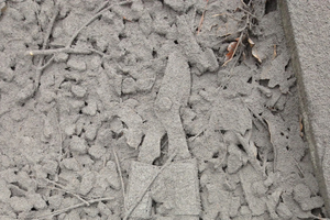 Ash covered ground after Mt Tongariro erupted late on Monday night. Photo / Alan Gibson