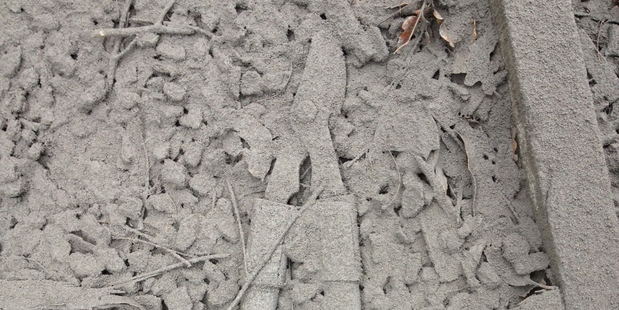 Ash covered ground after Mt Tongariro erupted late on Monday night. Photo / Alan Gibson