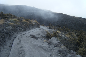 Ash covers a walkway on the Tongariro crossing. Photo / Supplied