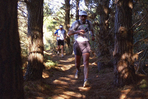 Xterra runners negotiate the shady track through the Whitford forest.