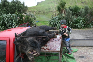 Shem Vallis is not overly impressed with his dad's big boar.
Photo / Geoff Thomas