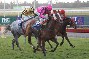 Art Beat beats Innovation (not in picture), Khemosabi (grey) and I Am Sam (rails), who finished fourth, in the Winter Cup at Riccarton on Saturday. Photo / Race Images