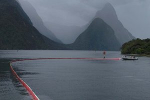 Freshwater Basin. File photo / NZ Herald