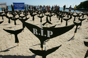 Even leading activist Pete Bethune admitted to me that the anti-whaling cause is a fashionable one. Photo / Brett Phibbs