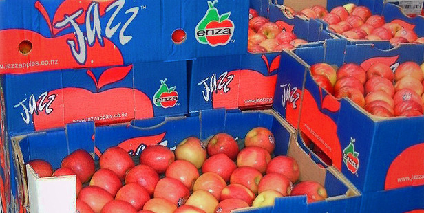 Jazz apples on their way to Australia. Photo / file