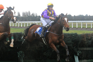Roodyvoo (right) showed he was in the right form for the Grand National Steeplechase next Saturday by winning the Koral Steeplechase. Photo / Race Images