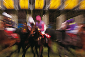 Photo / Thinkstock
