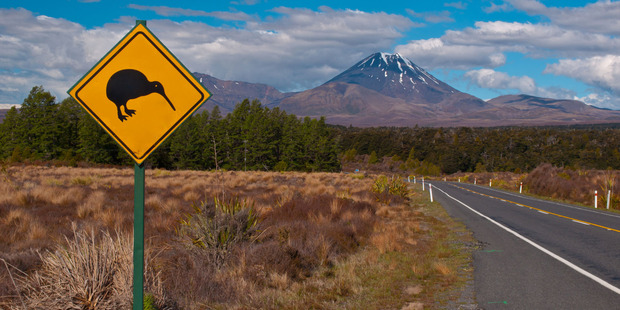 Photo / Thinkstock