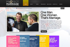 Family First's website campaigning against marriage equality. Photo / protectmarriage.co.nz