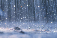 Photo / Thinkstock 