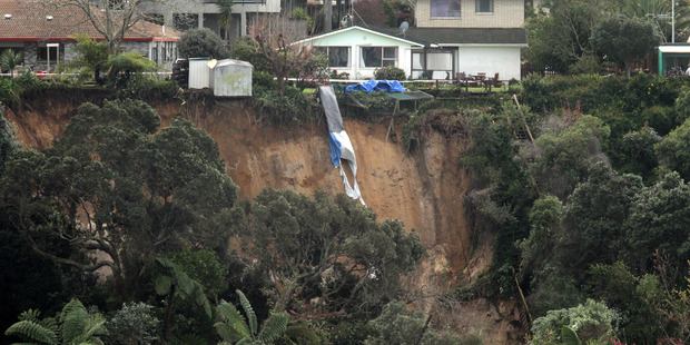 The slip in Matua swept tonnes of earth and uprooted trees towards the estuary below. Photo / Alan Gibson