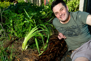 The ponga log is a real nod to nature and works perfectly for a backyard veggie bed. Photo / Dean Purcell