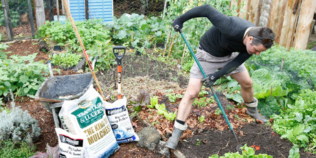 Tidying, pruning, feeding and mulching now will get your growing season off to a good start. Photo / Steven McNicholl