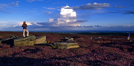 A walker enjoys the Yorkshire moors. Photo / Visit Britain