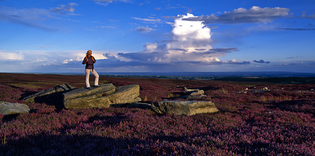A walker enjoys the Yorkshire moors. Photo / Visit Britain