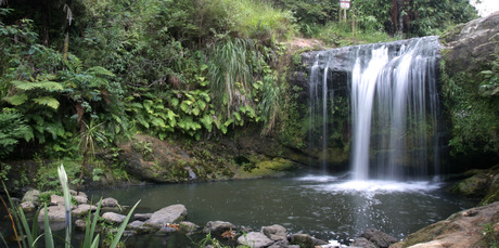 Oakley Creek's small waterfall is a pleasant sight in Waterview, Auckland. Photo / Greg Bowker