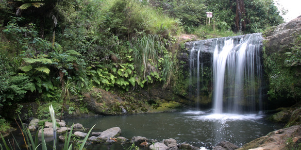 Oakley Creek's small waterfall is a pleasant sight in Waterview, Auckland. Photo / Greg Bowker