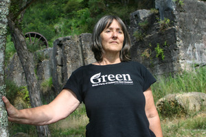 Green Party list MP Catherine Delahunty. Photo / NZ Herald