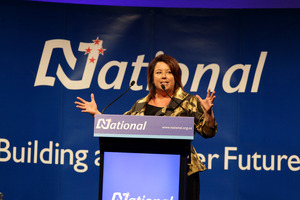 Social Development Minister Paula Bennett. Photo / Michael Craig