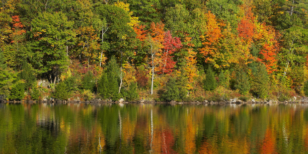 Autumn colours are reflected in Gatineau Park's Meech Lake. Photo / Thinkstock