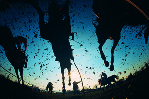 Photo / Thinkstock