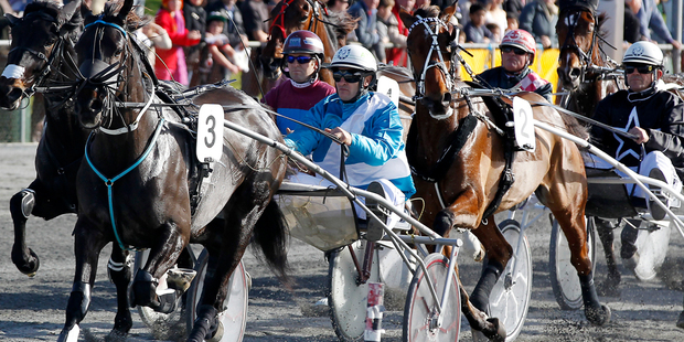 Cyclone U Bolt, pictured carrying Toff Macfarlane's colours but now stabled with Mark Purdon, will lead the Kiwi charge at Melton on Sunday.Picture / Christine Cornege