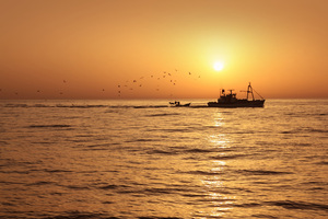 Photo / Thinkstock