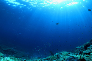 Photo / Thinkstock