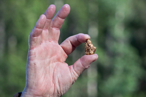 Photo / Thinkstock