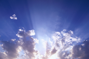 Photo / Thinkstock