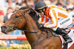 Ortensia will face a large field in the Nunthorpe Stakes. Photo / Getty Images