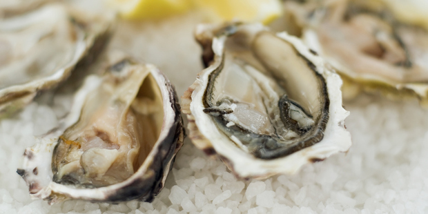 Oysters can elude people who attempt to evict them from their homes. Photo / Supplied