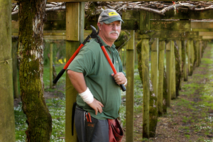 Kevin Whitaker of Te Puke says he noticed red ooze bleeding from his male green vines this month. Photo / Alan Gibson