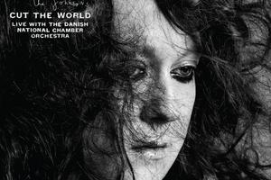 Antony and the Johnsons, Cut The World.
