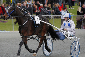 No.4 Dreamy Eagle driven by Zac Butcher. Photo / Christine Cornege