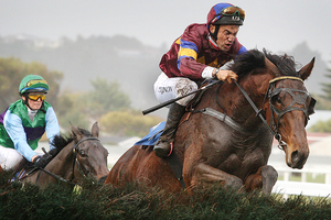 Tobouggie Nights has plenty of weight to carry in the Pakuranga Hunt Cup at Ellerslie on Saturday on what may be a heavy track. Photo / APN