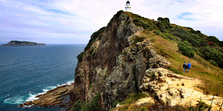 SUMMER SERIES : Burgess Island. Pictures for a feature on Burgess Island, storm Petrel and other sea bird life in the Hauraki Gulf. 13 December 2011 New Zealand Herald Photograph Steven McNicholl