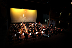 The Auckland Philharmonia Orchestra plays free and low-cost concerts throughout Auckland. Photo / Sarah Ivey