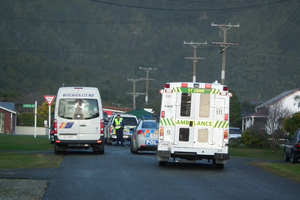 Several children, including his two brothers, witnessed the incident. Photo / Keira Stephenson