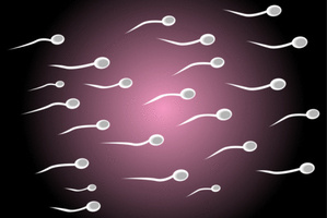 Creating sperm from skin cells means infertile men can father children who are genetically their own.
Photo / Thinkstock